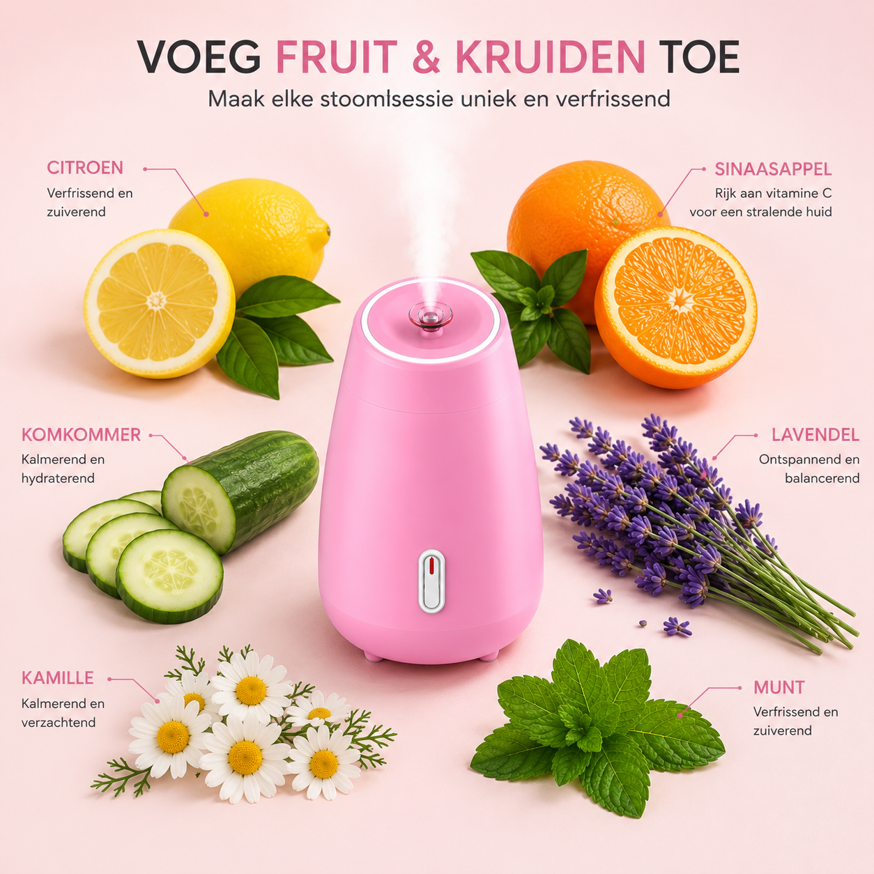 Nano Facial Steamer