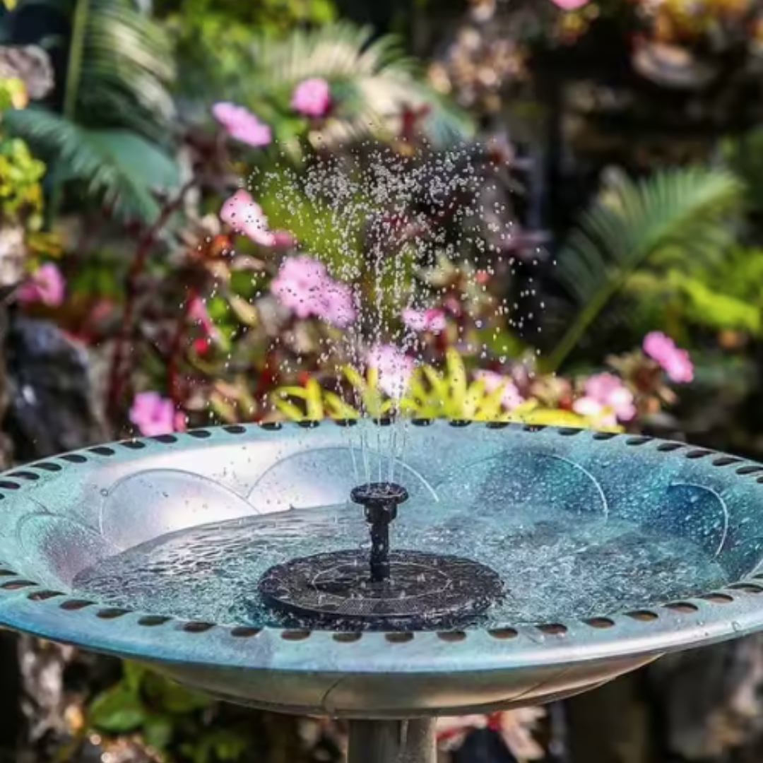 BirdBloom™ – Levendigheid voor je tuin