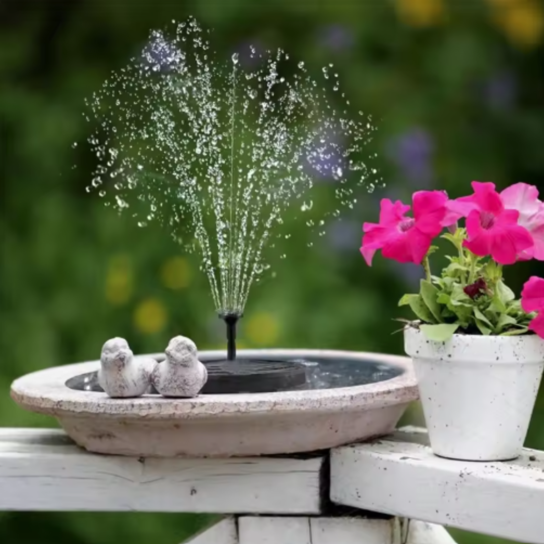 BirdBloom™ – Levendigheid voor je tuin