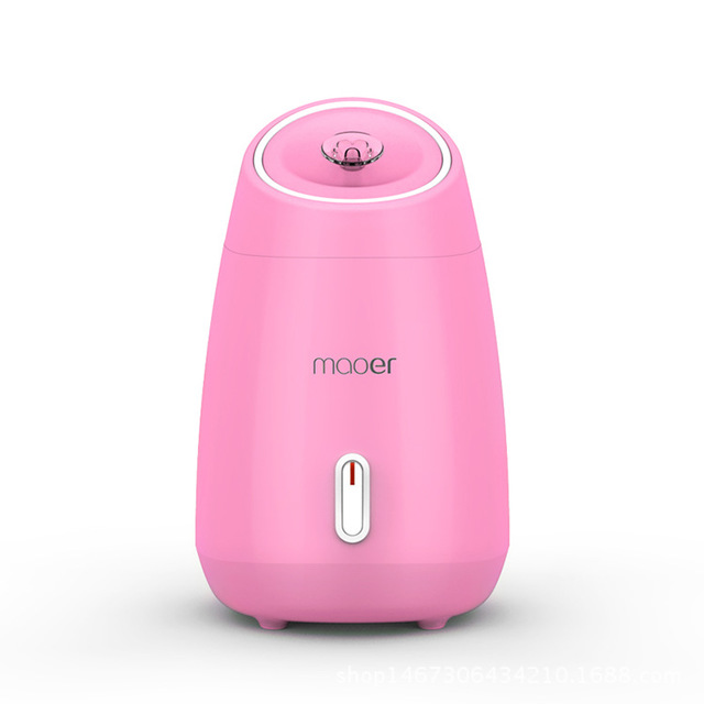 Nano Facial Steamer
