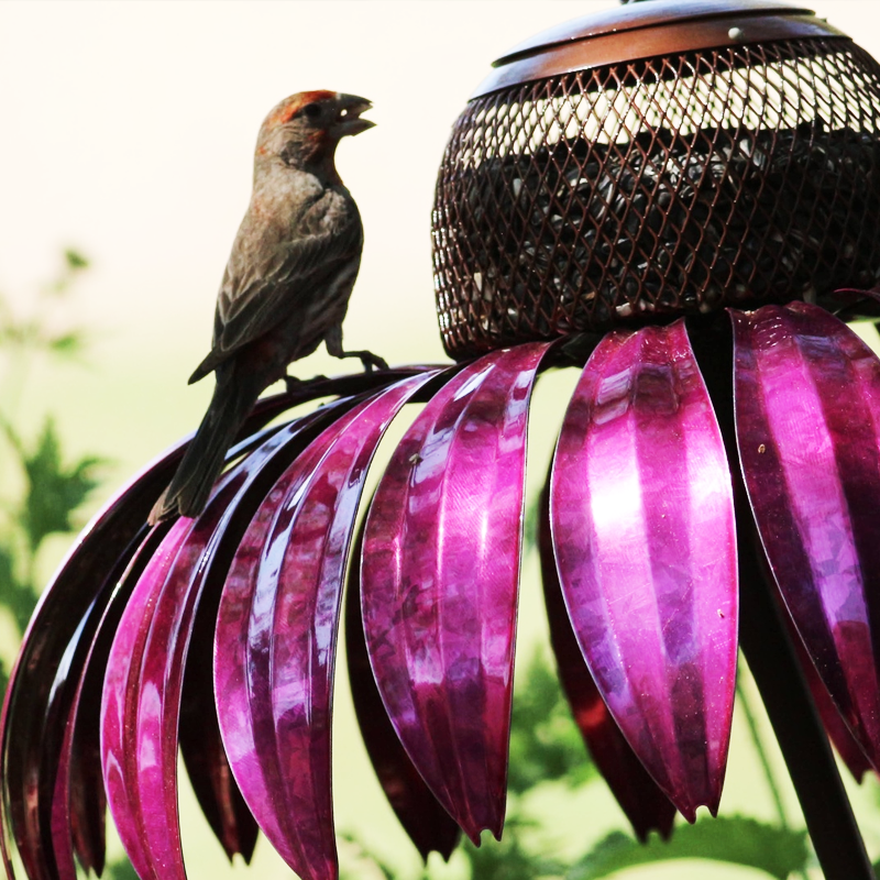 BirdBloom™ Vogelvoederhouder