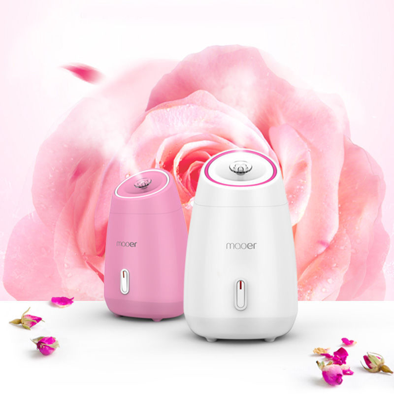 Nano Facial Steamer