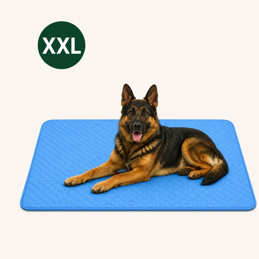 CoolBuddy® – De verkoelende mat met Ice Silk-technologie.