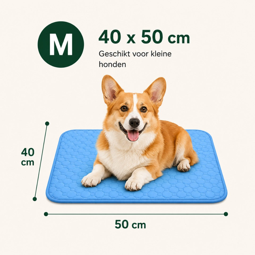 CoolBuddy® – De verkoelende mat met Ice Silk-technologie.