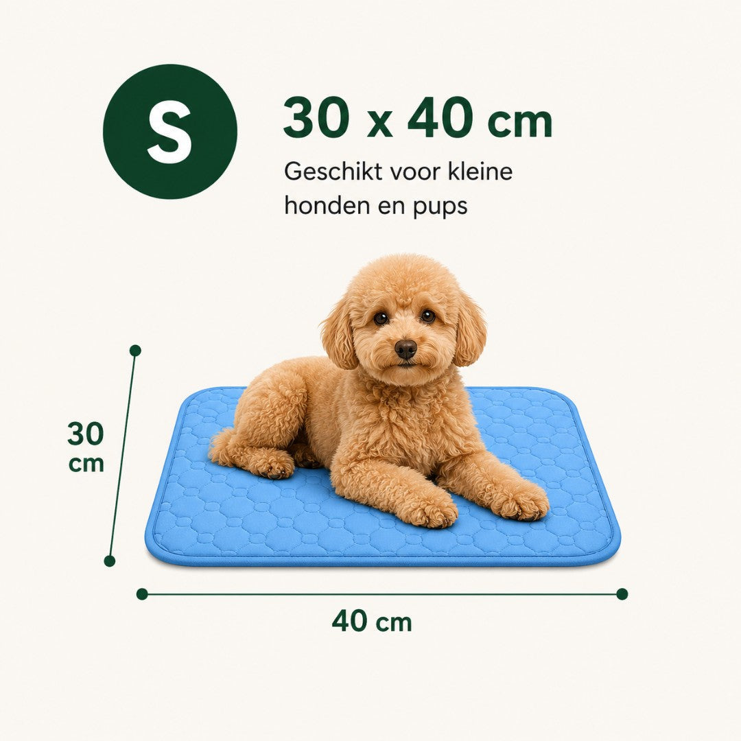 CoolBuddy® – De verkoelende mat met Ice Silk-technologie.