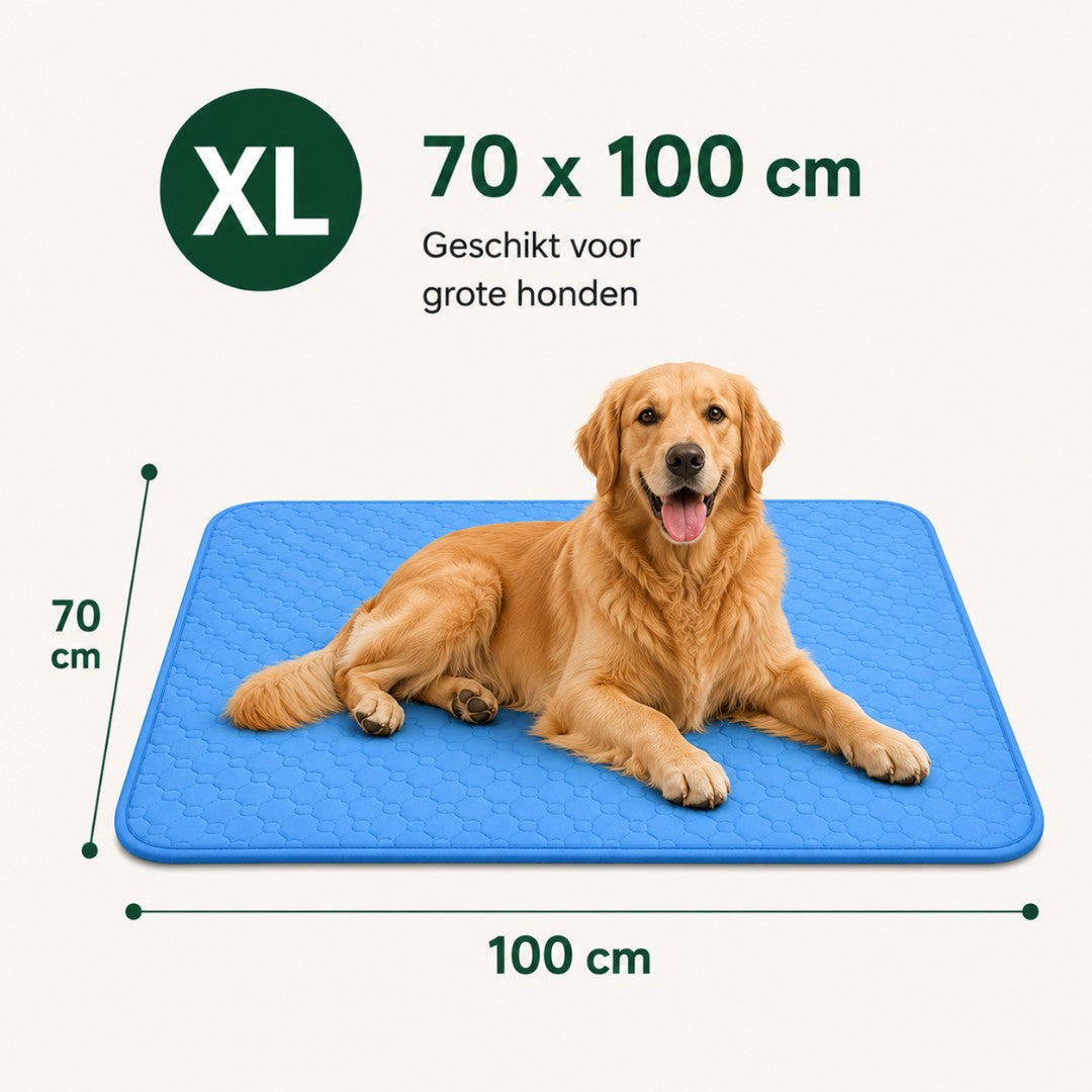 CoolBuddy® – De verkoelende mat met Ice Silk-technologie.