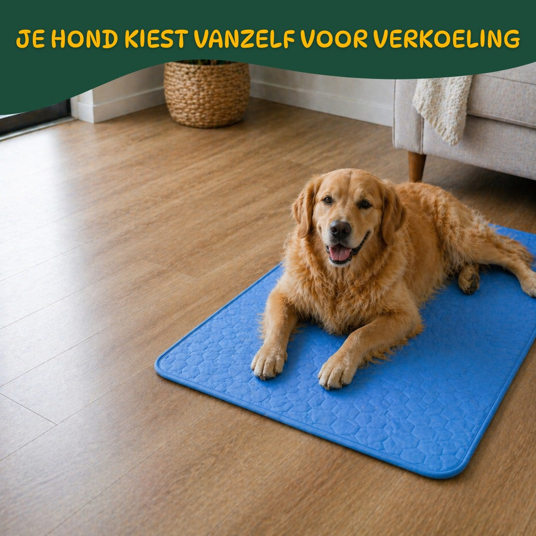 CoolBuddy® – De verkoelende mat met Ice Silk-technologie.