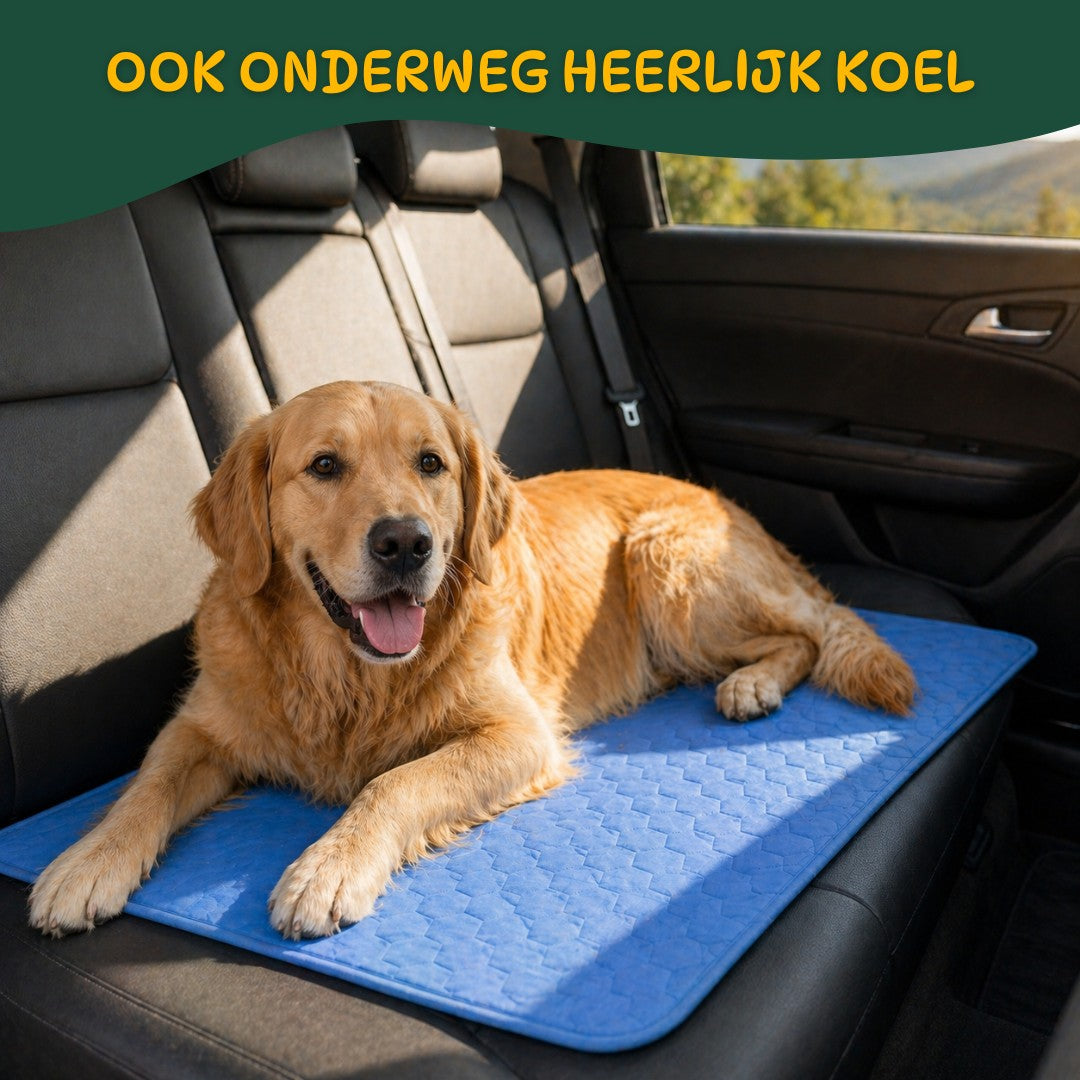 CoolBuddy® – De verkoelende mat met Ice Silk-technologie.