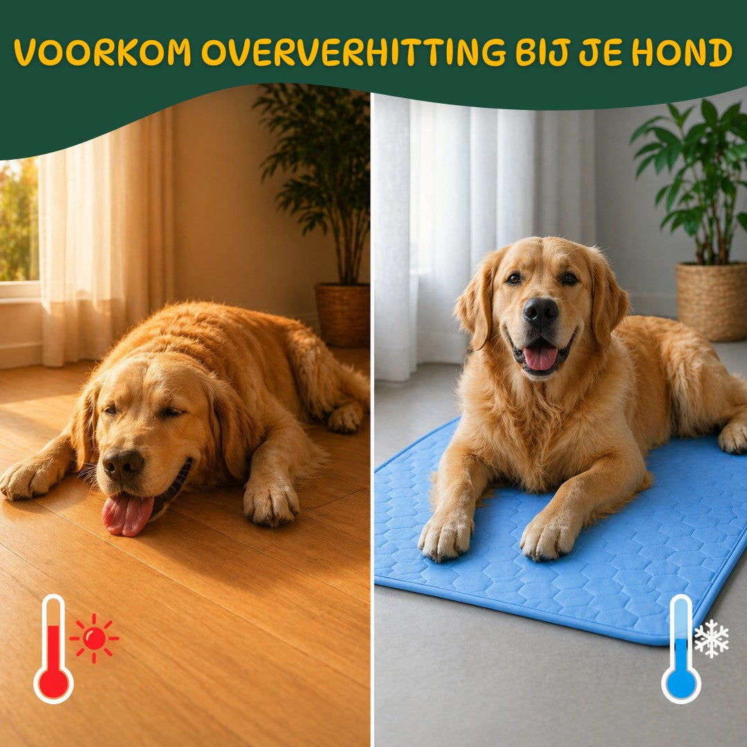 CoolBuddy® – De verkoelende mat met Ice Silk-technologie.